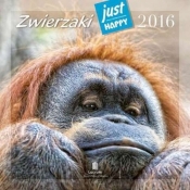 Kalendarz praktyczny 2016 PK 06 Zwierzaki - <br />