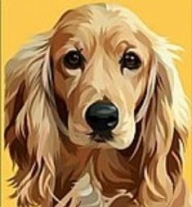 Malowania po numerach 22x22cm MIX