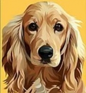 Malowania po numerach 22x22cm MIX