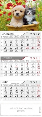 Kalendarz 2021 Trójdzielny Przyjaciele CRUX