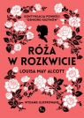 Róża w rozkwicie Louisa May Alcott