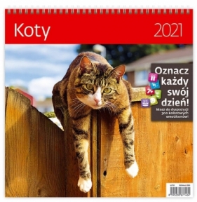Kalendarz 2021 30x30 Koty HELMA