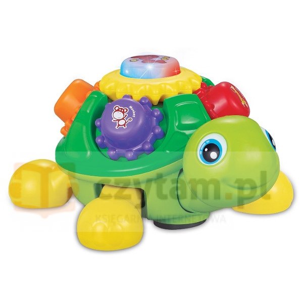 Kolorowy wesoły żółw (X-EF-ZA0037)