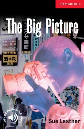 The Big Picture - Sue Leather