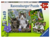 Ravensburger, Puzzle 3x49: Kocięta (08046)