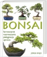 Bonsai w mieszkaniu. Frmowanie, rozmnażanie, pielęgnacja, uprawa Kinjo Jorge