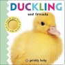 Duckling and Friends Touch and Feel Priddy Roger