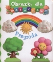Przyroda. Obrazki dla maluchów - Emilie Beaumont, Nathalie Belineau