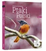 Ptaki Polski T.2 + CD Andrzej G. Kruszewicz