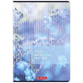 Zeszyt Herlitz A4/96k kratka z marginesem, 1 szt