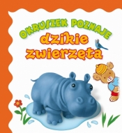 Okruszek poznaje dzikie zwierzęta - Anna Wiśniewska, Elżbieta Śmietanka-Combik, Jolanta Czarnecka