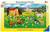 Ravensburger, Puzzle ramkowe 15: Zwierzęta domowe (6046)