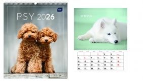 Kalendarz ścienny planszowy 2026 - Psy