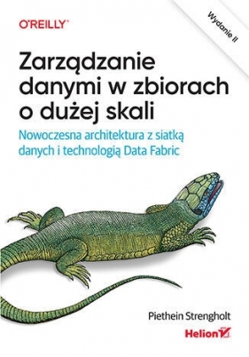 Zarządzanie danymi w zbiorach o dużej skali. Nowoczesna architektura z siatką danych i technologią D - Piethein Strengholt