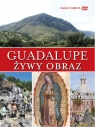 Guadalupe