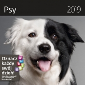 Kalendarz wieloplanszowy Psy 30x30 2019