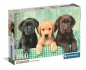 Puzzle - Three Labs, 1000 el.