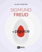 Sigmund Freud w pigułce - Alan Porter