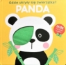 Gdzie ukryły się zwierzątka. Panda praca zbiorowa