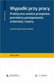 Wypadki przy pracy Praktyczna analiza przepisów, procedury postępowania, schematy i wzory + wzory d - Główczyńska-Woelke Karolina