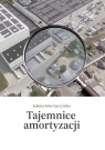 Tajemnice amortyzacji Iwin-Garzyńska Jolanta