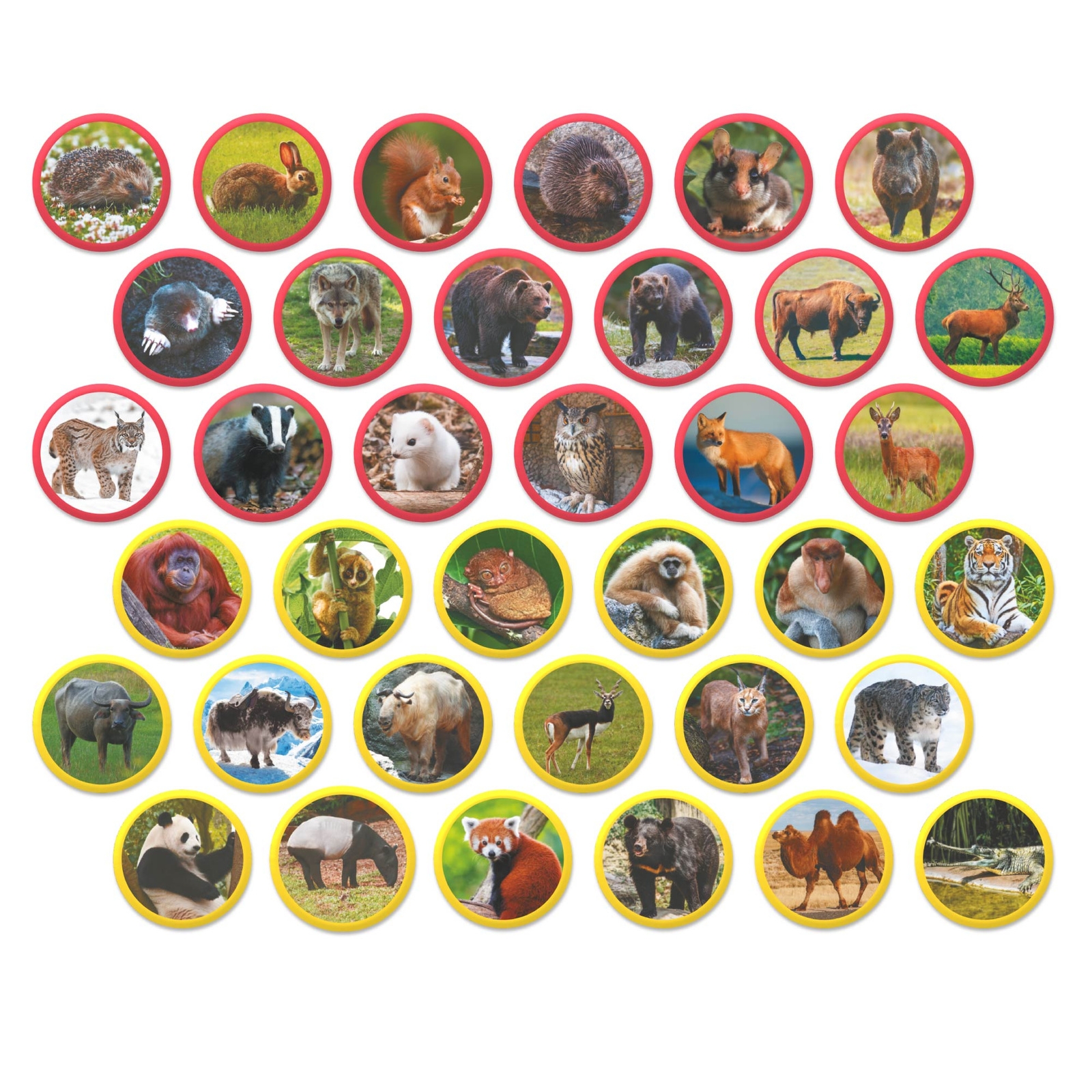 Zestaw magnesów Montessori - Zwierzęta na kontynentach: Eurazja (200284)