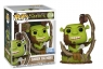 Figurka Funko POP Shrek: Shrek bathing