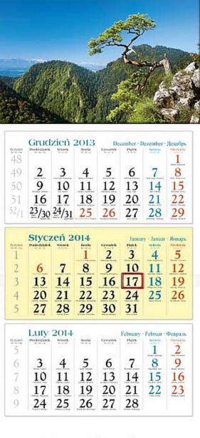 Kalendarz 2014 Sosna - <br />