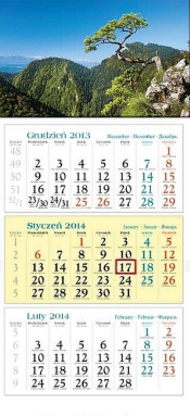 Kalendarz 2014 Sosna - <br />