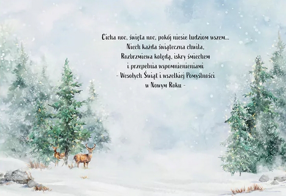 <img src='https://webimage.pl/pics/471/3/dZrzut-ekranu-2025-11-03-142802.png'>