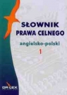 Słownik prawa celnego angielsko-polski / Słownik prawa celnego Kapusta Piotr