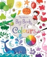 Big Book of Colours Felicity Brooks