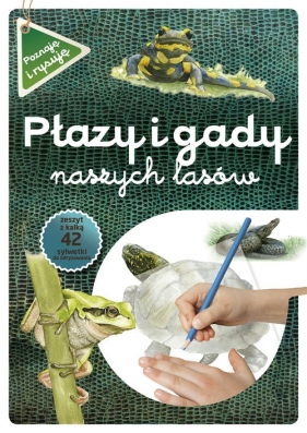 Płazy i gady naszych lasów - Kopiec-Sekieta Katarzyna, Maternicka Grażyna