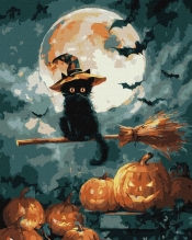 Malowanie po numerach - Mały Czarodziej 40x50cm