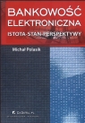 Bankowość elektroniczna Istota - Stan - Perspektywy Michał Polasik