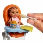 Barbie Opiekunka zestaw + lalki (FHY97)