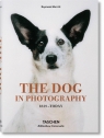 The Dog in Photography 1839 - Today Merritt Raymond