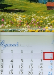 Kalendarz 2011 KJ02 Polana jednodzielny