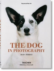 The Dog in Photography - Merritt Raymond