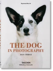 The Dog in Photography - Raymond Merritt