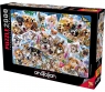 Puzzle 2000: Collage selfie (3947)