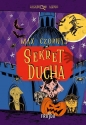 Zagadkowi agenci. Sekret ducha - Max Czornyj