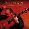 Flamenco Entre Amigos CD