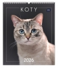 Kalendarz ścienny planszowy 2026 - Koty