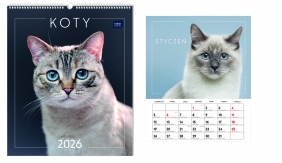 Kalendarz ścienny planszowy 2026 - Koty