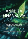Analiza finansowa jako narzędzie oceny zmian... Ewa Gubernat, Maciej Golejewski, Marian Noga