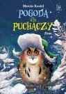 Pogoda dla puchaczy. Zima Marcin Kozioł
