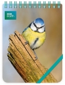 Kołonotes ozdobny Blue Tit (RNP 506)