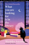 What You Are Looking for is in the Library Michiko Aoyama