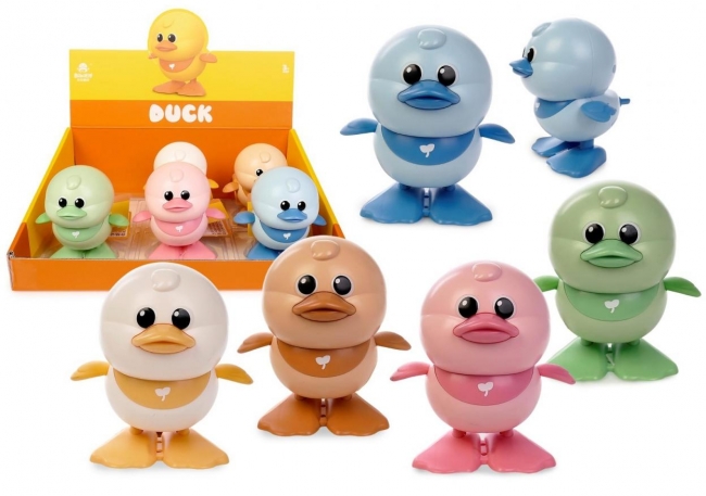 Skacząca kaczuszka mix